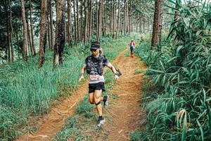 BIB: 
                            <button type="button" onclick="openModal(25685717)" class="btn btn-primary btn-sm float-right btn-popup" data-toggle="modal" data-target=".modal-high-quality">
                        <i class="fas fa-shopping-cart"></i> Add to Cart
                    </button>
                                            <button type="button" onclick="isThisMe(25685717, true)" class="btn btn-success btn-sm float-right btn-popup btn-isme hidden" data-toggle="tooltip" data-placement="bottom" title="นี่คือรูปของคุณใช่ไหม คลิกที่นี่เพื่อเอาเข้าอัลบั้ม">
                        <i class="fas fa-plus"></i> Add to album
                    </button>
                    <button type="button" onclick="isThisMe(25685717, false)" class="btn btn-warning btn-sm float-right btn-popup btn-isnotme hidden">
                        <i class="fas fa-ban"></i> Remove from album
                    </button>